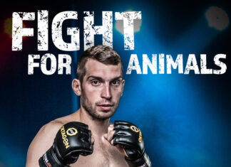 Další veganská výhra v profi MMA – Pavel Salčák vyhrál před limitem